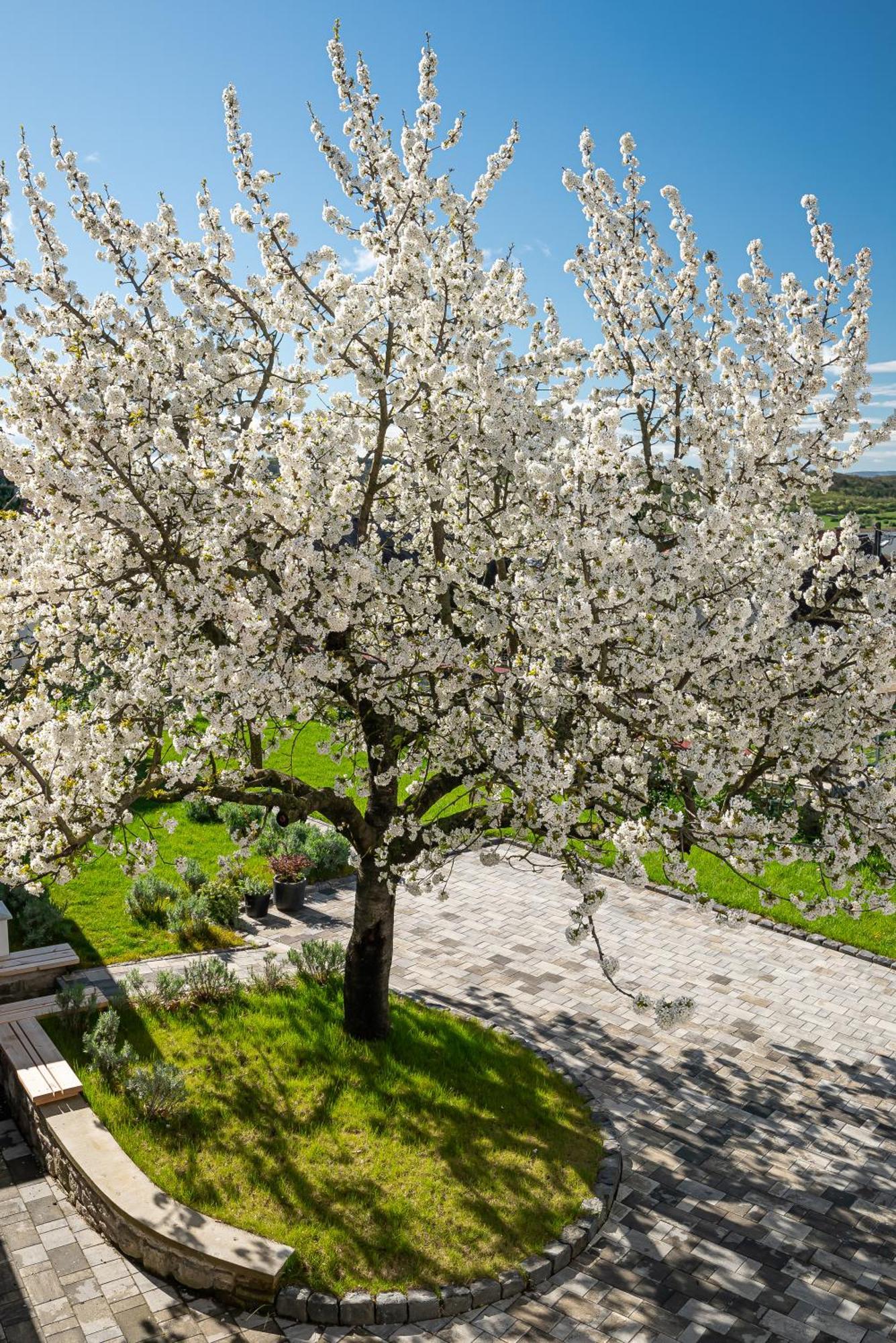 Appartamento Papoula Vendeghaz Tihany Esterno foto
